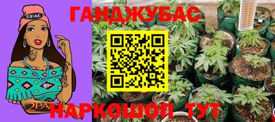 прущие грибы Донецк