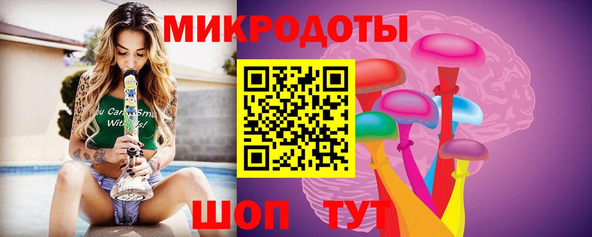 Псилоцибиновые грибы Psilocybine cubensis Медногорск