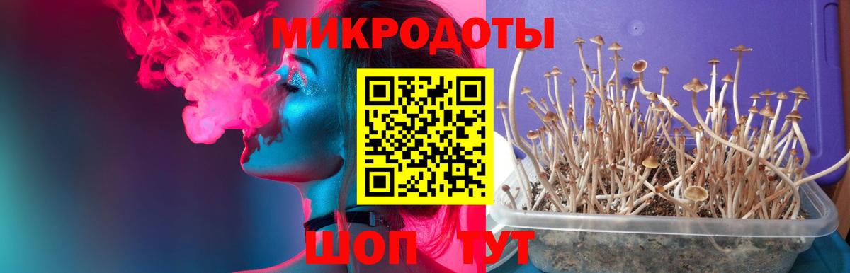 Галлюциногенные грибы MAGIC MUSHROOMS  Вход с VPN  Медногорск 